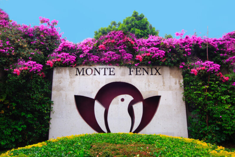 Monte Fenix - Spanish Delivered Treatment
