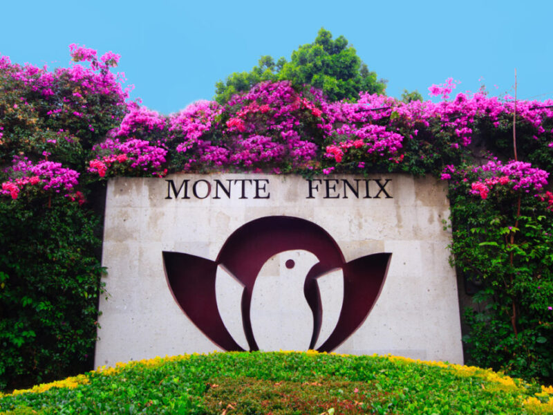 Monte Fenix - Spanish Delivered Treatment