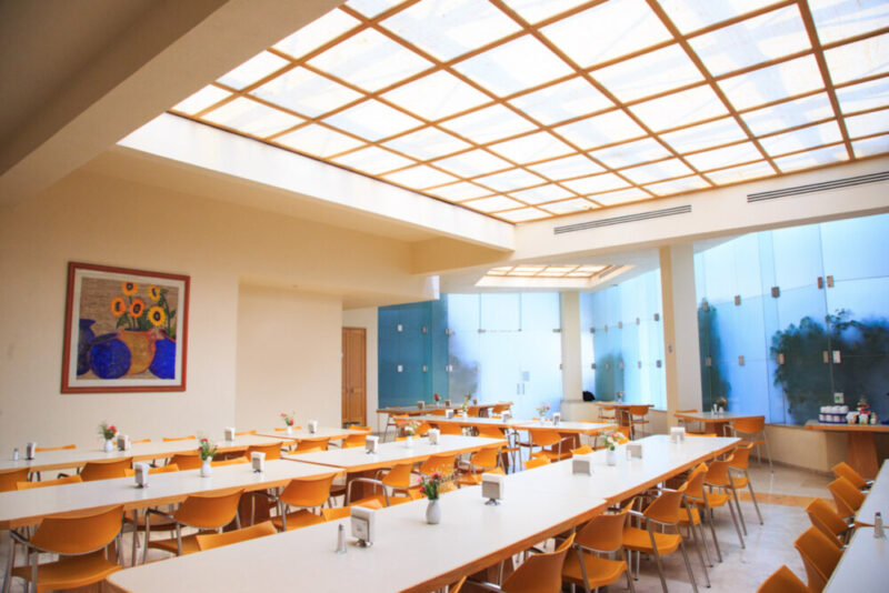 Monte Fenix - Spanish Delivered Treatment