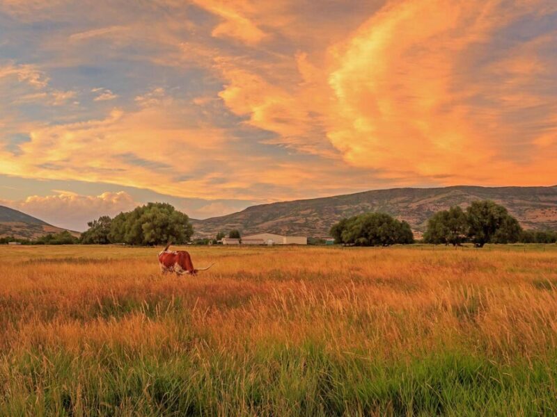 New Hope Ranch