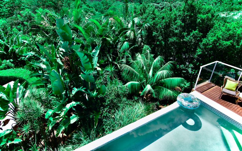 Noosa Confidential