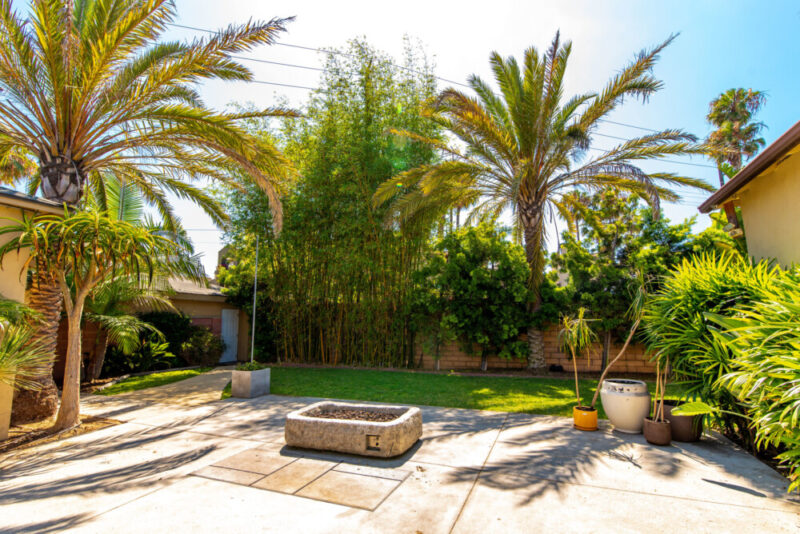 Ocean Coast Recovery