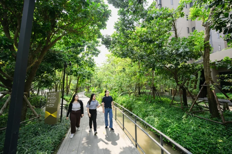 Phoenix Adolescent Rehab