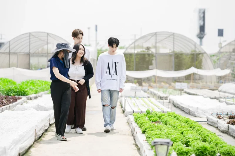 Phoenix Adolescent Rehab